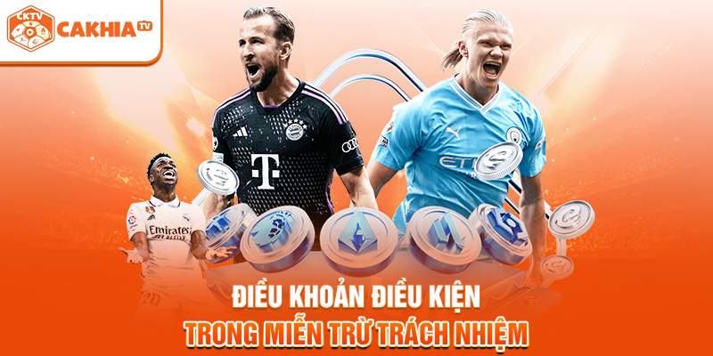 Điều khoản điều kiện trong miễn trừ trách nhiệm
